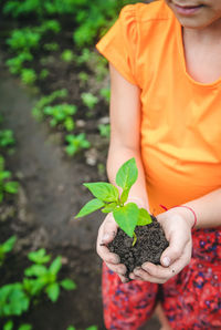 Midsection of woman holding potted plant