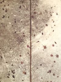 High angle view of a sand