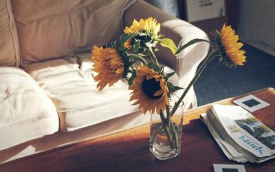 Sunflowers in vase indoors