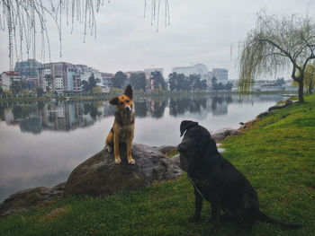 Friends standing near the lake