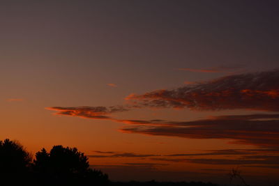 Low angle view of silhouette trees against sky during sunset