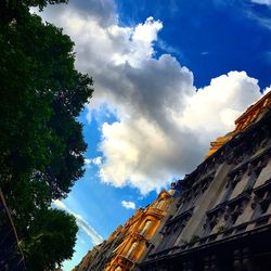 Low angle view of trees against sky