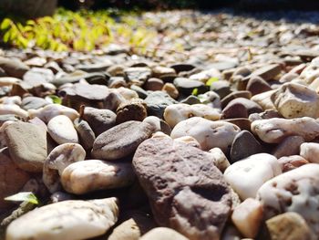 Close-up of stones on pebbles