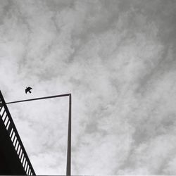 Low angle view of birds flying against sky