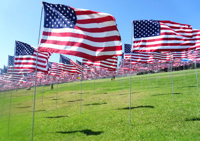 Flag on field against sky