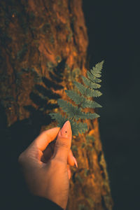 Person hand holding maple leaves during autumn