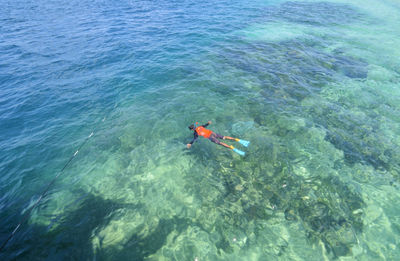 High angle view of person swimming in sea