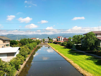 Buildings and trees against sky in city