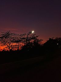 Silhouette trees against clear sky at night