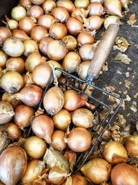 High angle view of onions in market