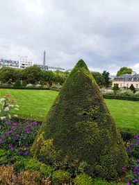 View of plants in park against cloudy sky