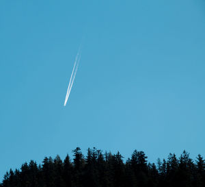 Low angle view of trees against clear blue sky