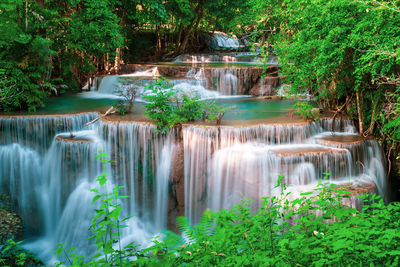 Scenic view of waterfall in forest