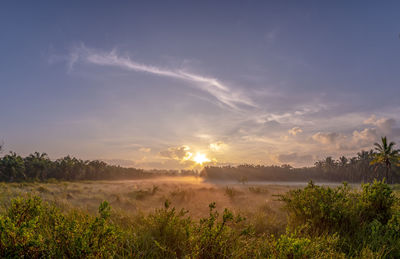 Scenic view of field against sky during sunset