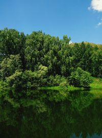 Scenic view of lake in forest against sky