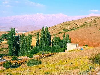 Scenic view of landscape against sky