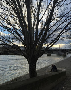Bare trees against sky