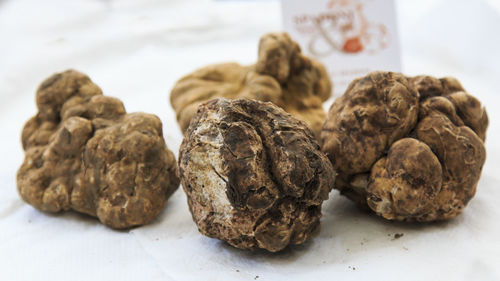 Close-up of black truffles on table