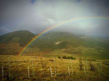 Scenic view of rainbow over field