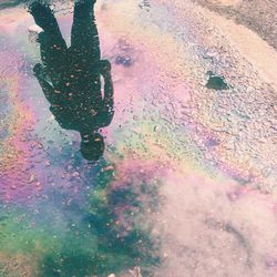 Reflection of trees in puddle