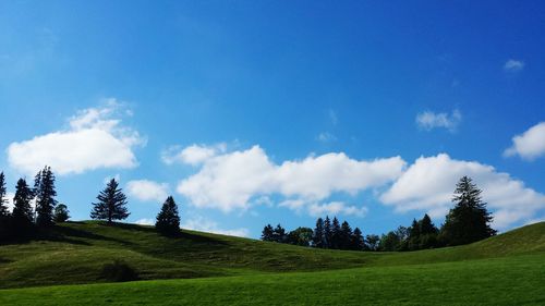 Scenic view of grassy field against cloudy sky