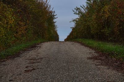 Road amidst trees against sky