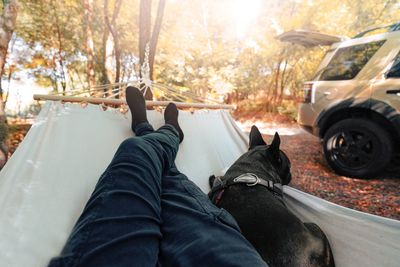 Low section of person and french bulldog relaxing in hammock in autumn forest