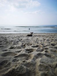 Scenic view of beach against sky