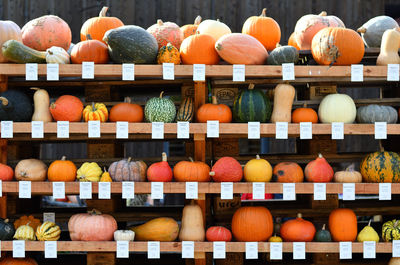 Variety of pumpkins on shelves for sale at market stall