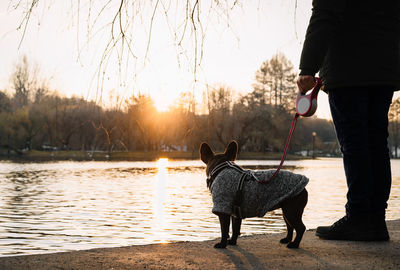 Low section of people with dog on lake