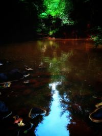 Scenic view of lake against trees at night