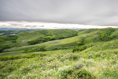 Scenic view of cloudy sky