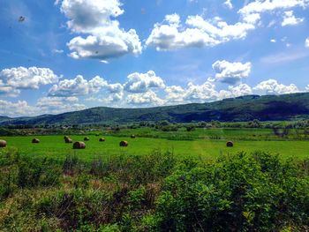 Scenic view of field against sky