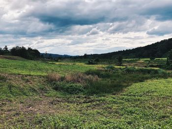 Scenic view of field against sky