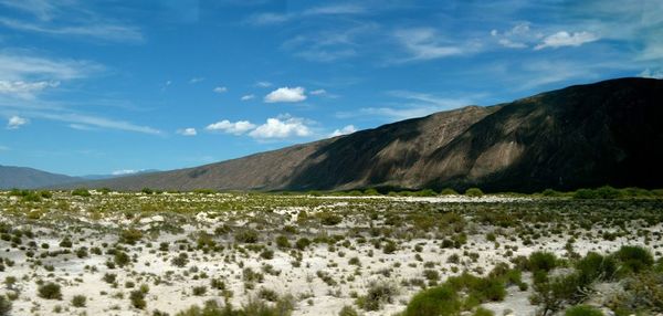 Scenic view of desert against sky