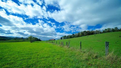 Scenic view of agricultural field against sky