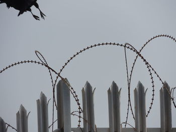 Low angle view of barbed wire against clear sky