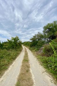 Empty road along plants and trees against sky