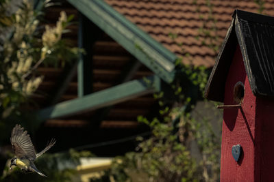 Close-up of roof against building