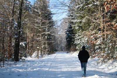 Rear view of man walking on snow covered field amidst bare trees