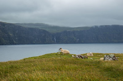 Scenic view of lake against mountains