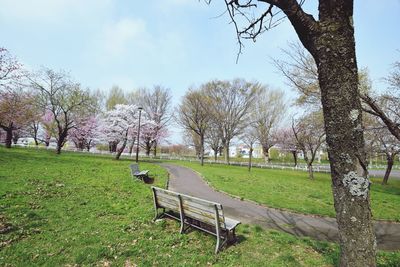 Park bench on field against sky