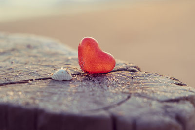 Close-up of heart shape with seashell on tree stump