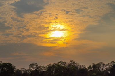 Low angle view of silhouette trees against orange sky