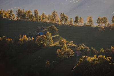 High angle view of trees on field against sky