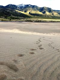 Scenic view of beach against sky