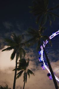 Low angle view of palm trees against sky at night