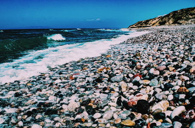 Scenic view of beach