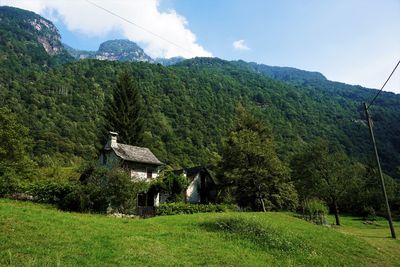 Scenic view of trees and mountains against sky