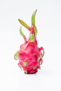Close-up of pink flower over white background